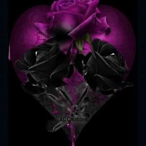 Meet your Posher, Deeann